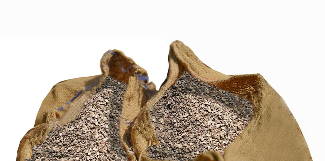 nocciolino in sacchi