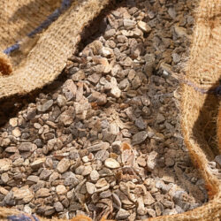 nocciolino-sacchi nocciolino-sacchi