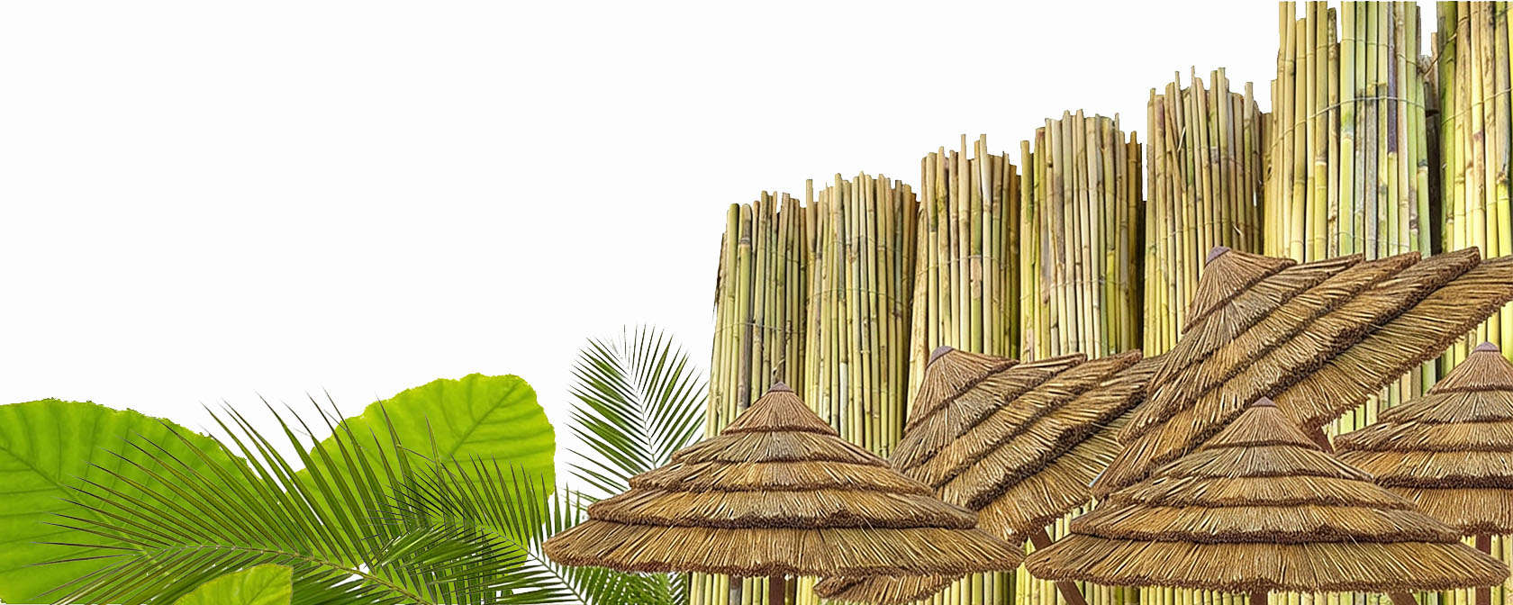 Outdoor e Arredo Giardino