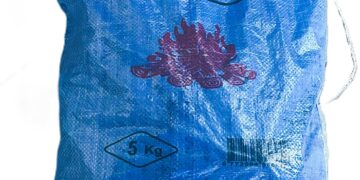 carbone egiziano 5 kg