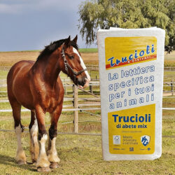 lettiera-per-cavalli